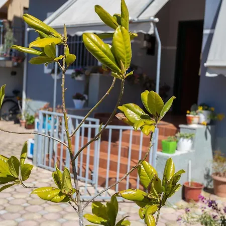 Aulona Holiday home *