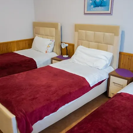 Aulona Dom wakacyjny Wlora