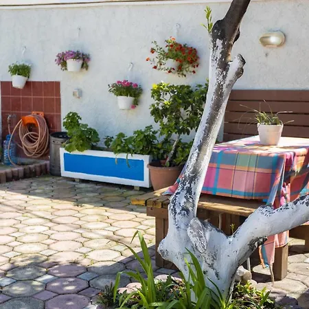 Dom wakacyjny Aulona *