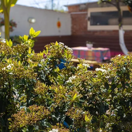 Holiday home Aulona Vlore