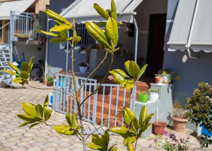 Aulona Holiday home *