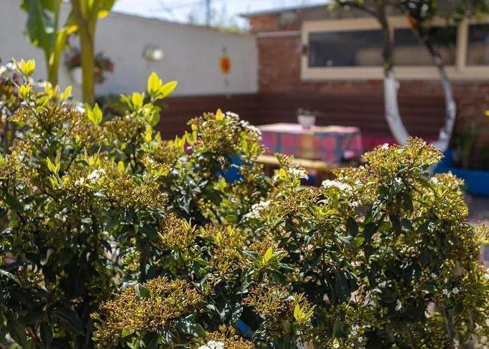 Holiday home Aulona Vlore