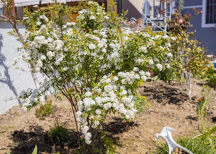 Aulona Holiday home Vlore